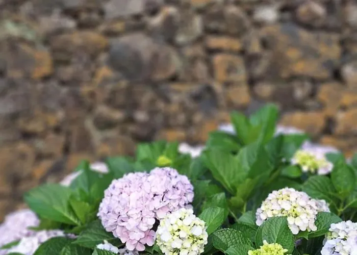 فيلة Family - Premium Location *