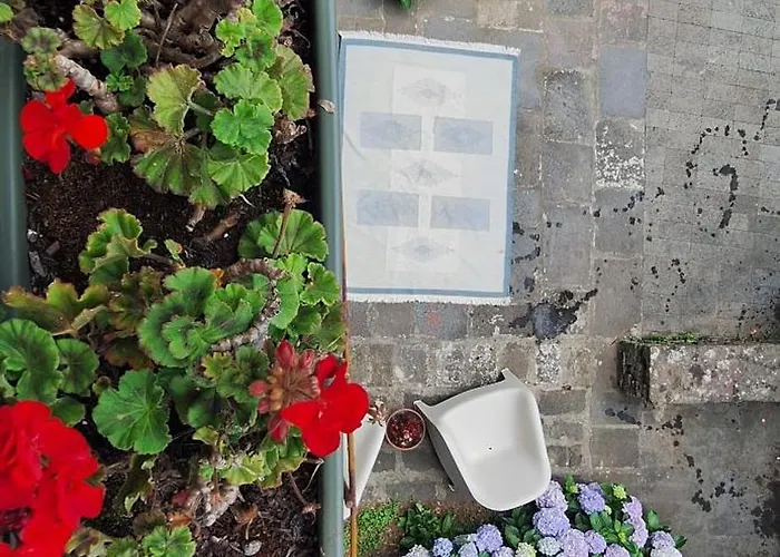 Family - Premium Location فيلة *