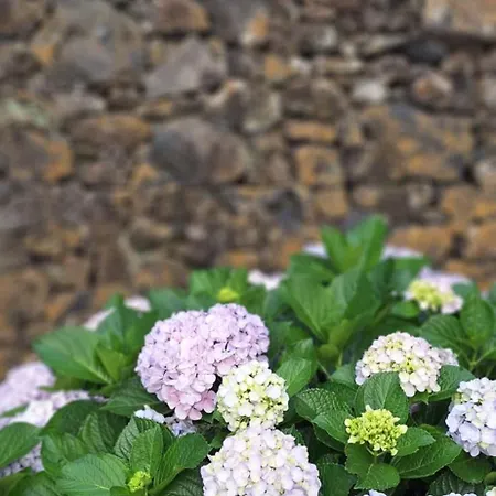 빌라 Family - Premium Location *