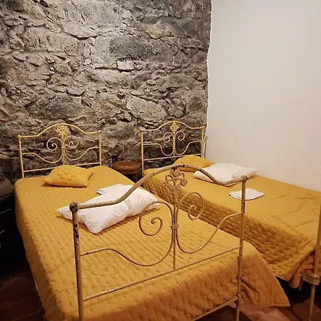 Family - Premium Location 빌라