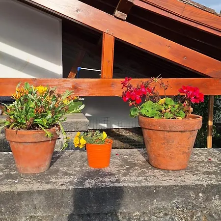 Family - Premium Location Villa Lagoa (Azores)