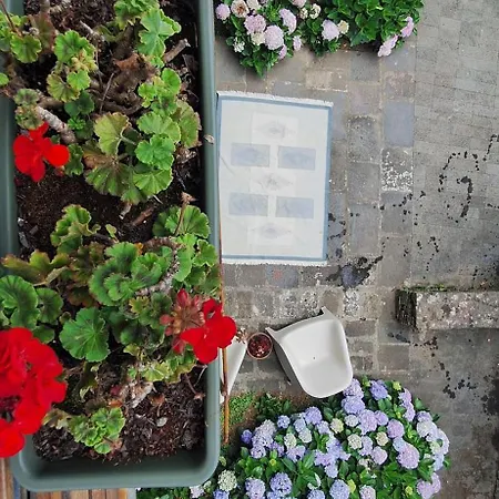 Family - Premium Location 빌라 *