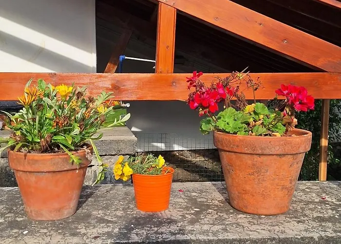 Family - Premium Location Villa Lagoa (Azores)